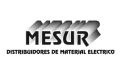 logo mesur